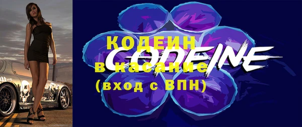 шишки Гусь-Хрустальный