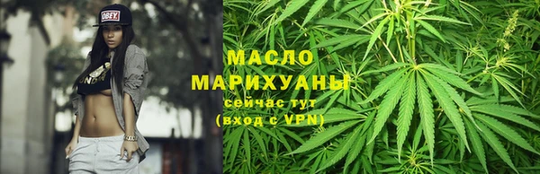 шишки Гусь-Хрустальный